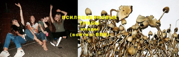 герыч Кинешма