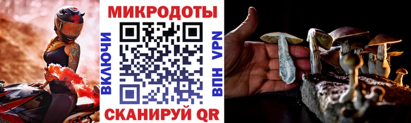 Псилоцибиновые грибы Psilocybine cubensis  Купить закладки  Калтан 